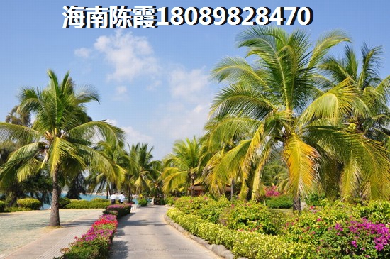 2023海南?？诜績r走勢！2