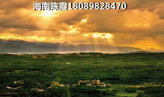 《珠江南田57°》touzi優(yōu)勢(shì)不足介紹