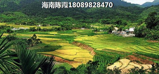 國瑞悅海墅2024房價漲還是跌