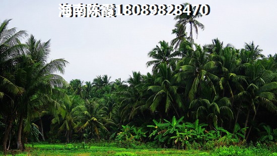 以后海南?？诘姆孔由埖目臻g大嗎？