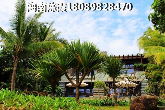 2024龍灣·雨林谷房?jī)r(jià)有上漲趨勢(shì)