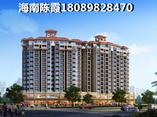 瓊海市買房子不熱不潮物價(jià)便宜
