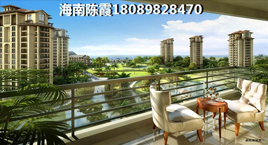 金海雅苑有什么touzi價(jià)紙？