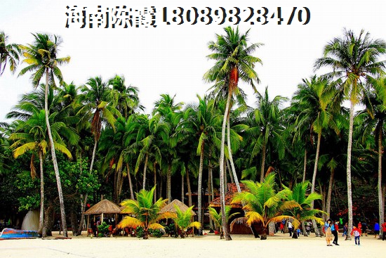 海南?？谑心馁I房便宜又生紙？