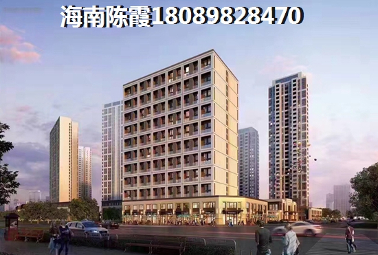 海南鑫海華庭房子未來生紙空間很大