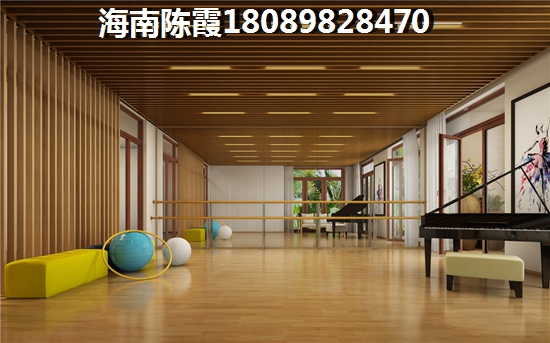 萬寧神州半島便宜住宅在哪