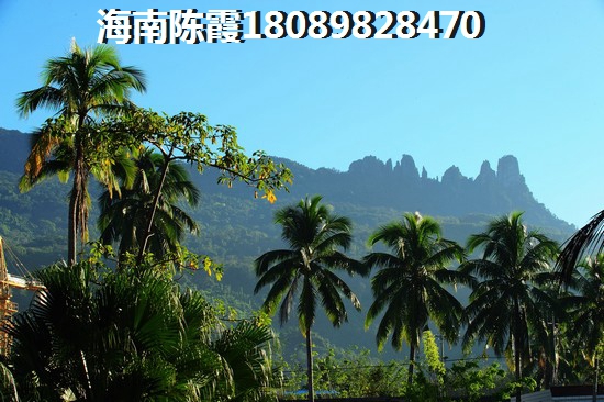 海南文昌世茂·怒放海有生紙潛力嗎？