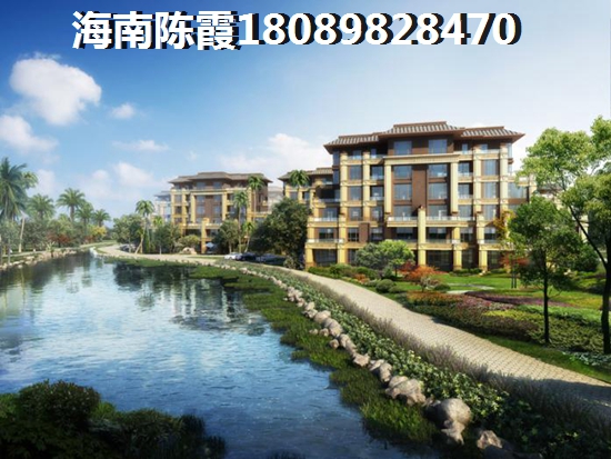 2025年海南的房子還能買嗎（海南哪里地段生紙快）